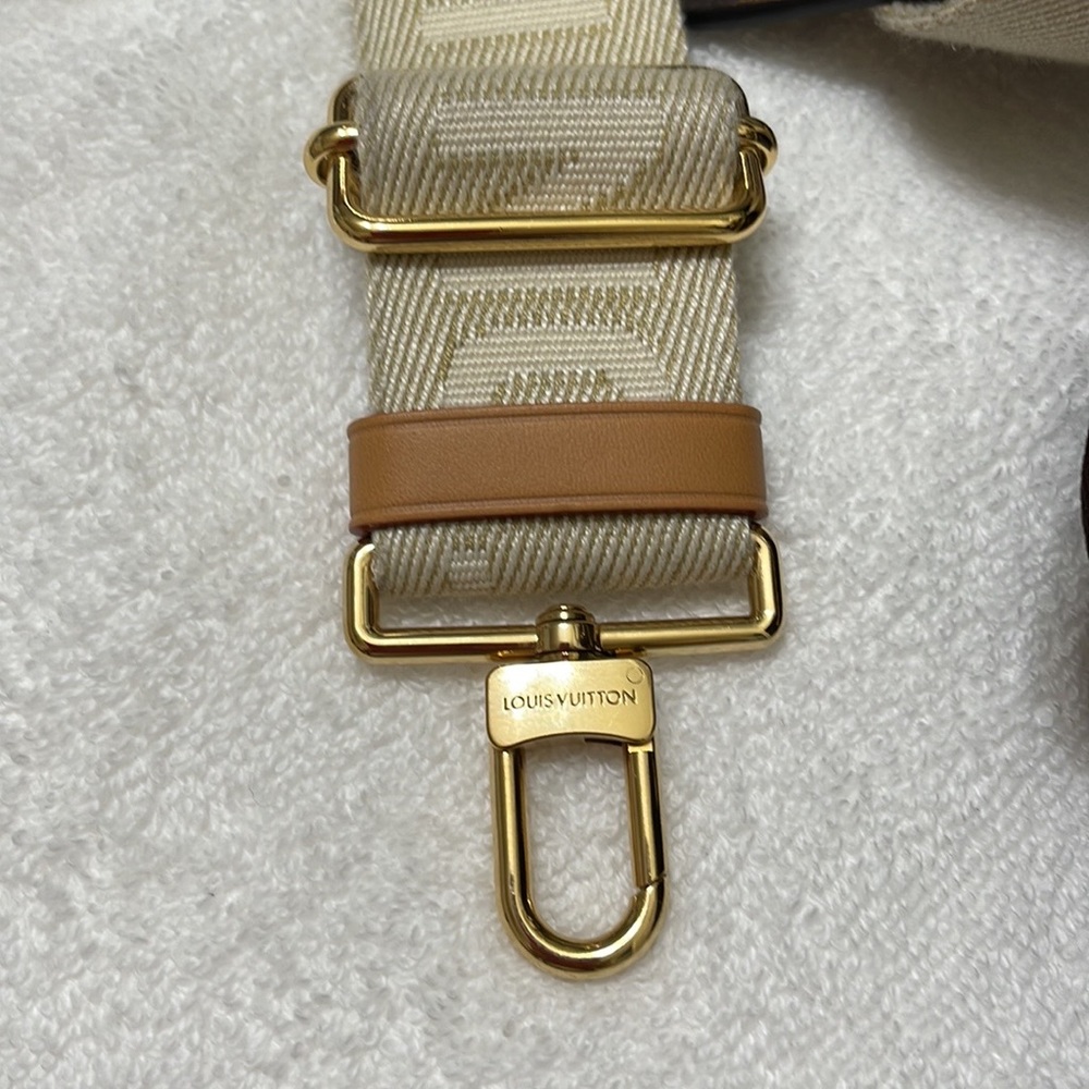 Louis Vuitton utility crossbody